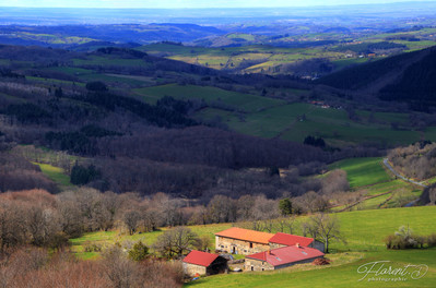 Virée dans la montagne bourbonnaise