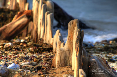 Plage normande