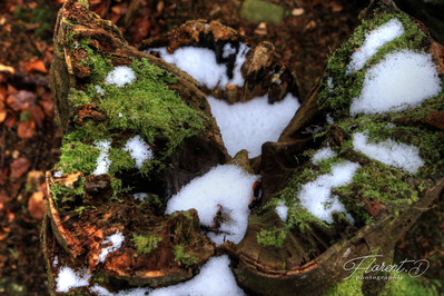 Virée dans la montagne bourbonnaise