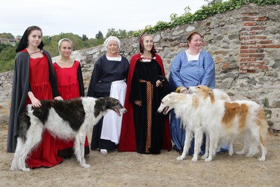 Fêtes Anne de Beaujeu (2)