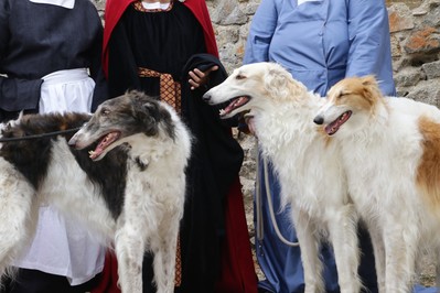 Fêtes Anne de Beaujeu (2)