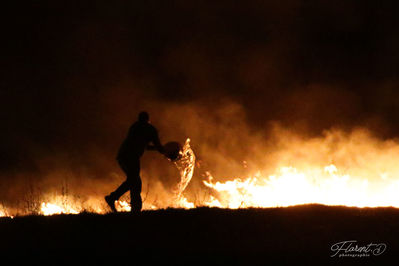 Interventions sur l'incendie après le feu d'artifice 