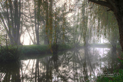 Saint-Pourçain sur Sioule