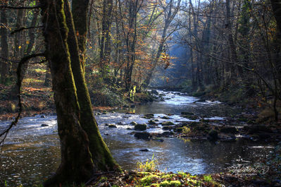 Saint-Pourçain sur Sioule