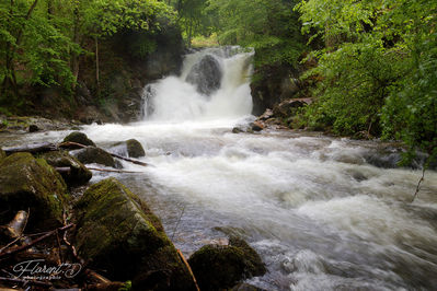 Cascade en montagne bourbonnaise