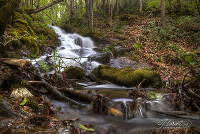 Cascade en montagne bourbonnaise