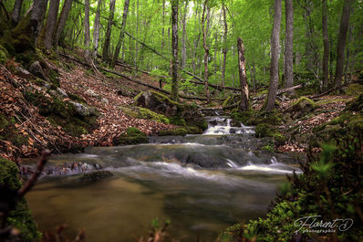 Cascade en montagne bourbonnaise