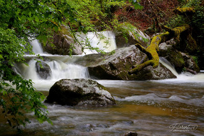 Cascade en montagne bourbonnaise