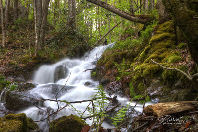 Cascade en montagne bourbonnaise