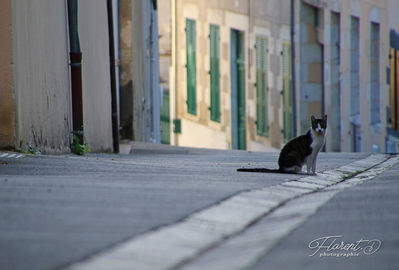 Saint-Pourçain sur Sioule