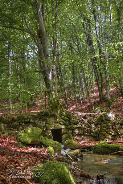 Cascade en montagne bourbonnaise