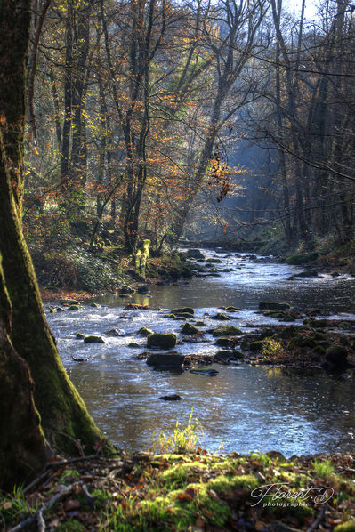 Saint-Pourçain sur Sioule