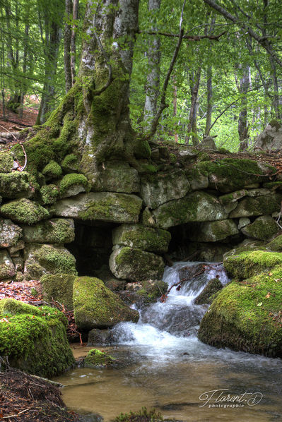 Cascade en montagne bourbonnaise