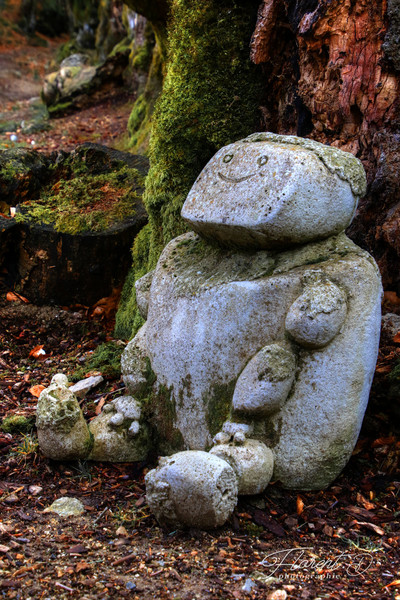 Virée dans la montagne bourbonnaise