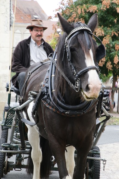 Fêtes Anne de Beaujeu (2)