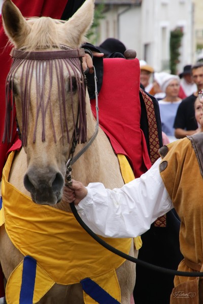 Fêtes Anne de Beaujeu (2)