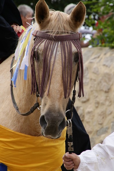 Fêtes Anne de Beaujeu (2)