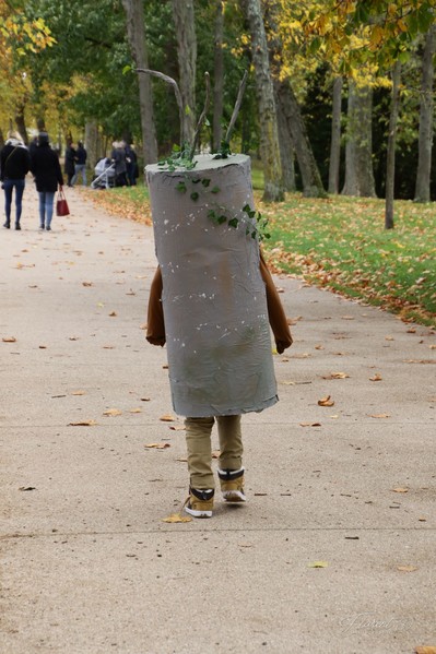 10/11/2019 - La clé des géants