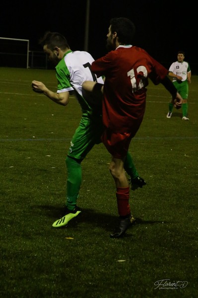 Foot