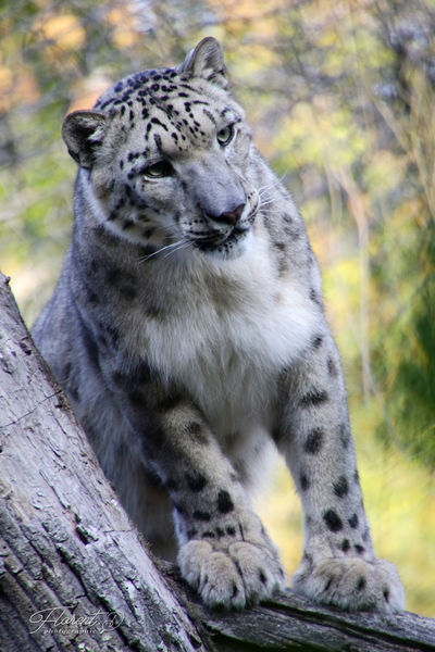 Zoo du  PAL  2019