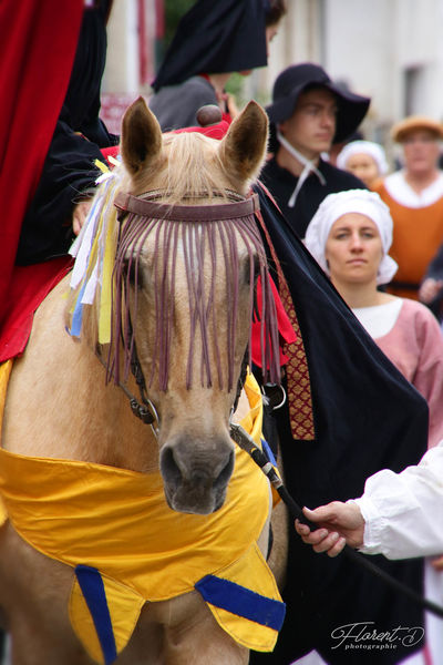 Fêtes Anne de Beaujeu (2)