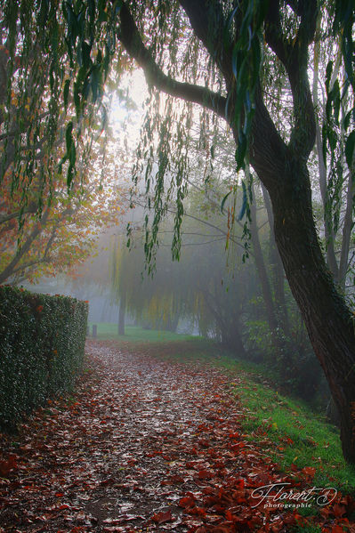 Saint-Pourçain sur Sioule