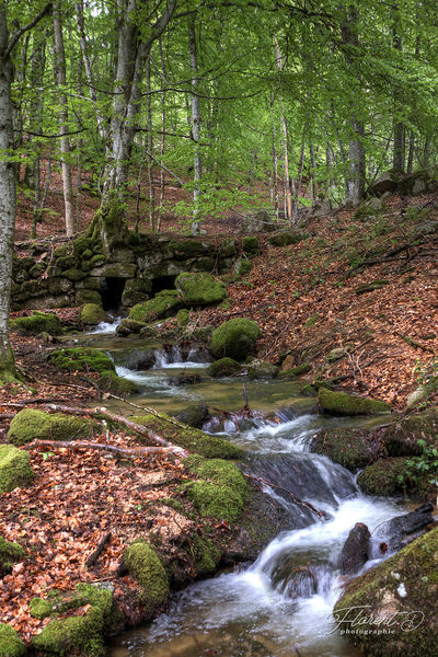 Cascade en montagne bourbonnaise