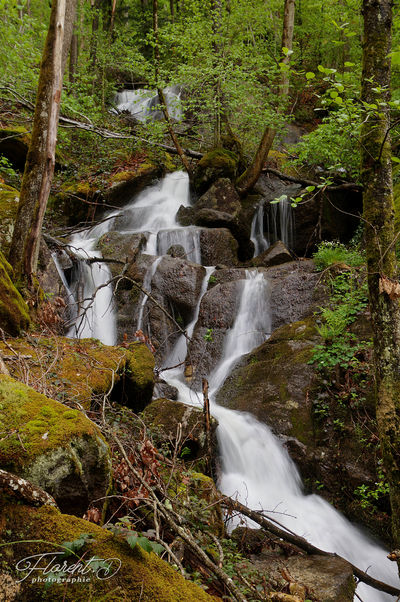 Cascade en montagne bourbonnaise